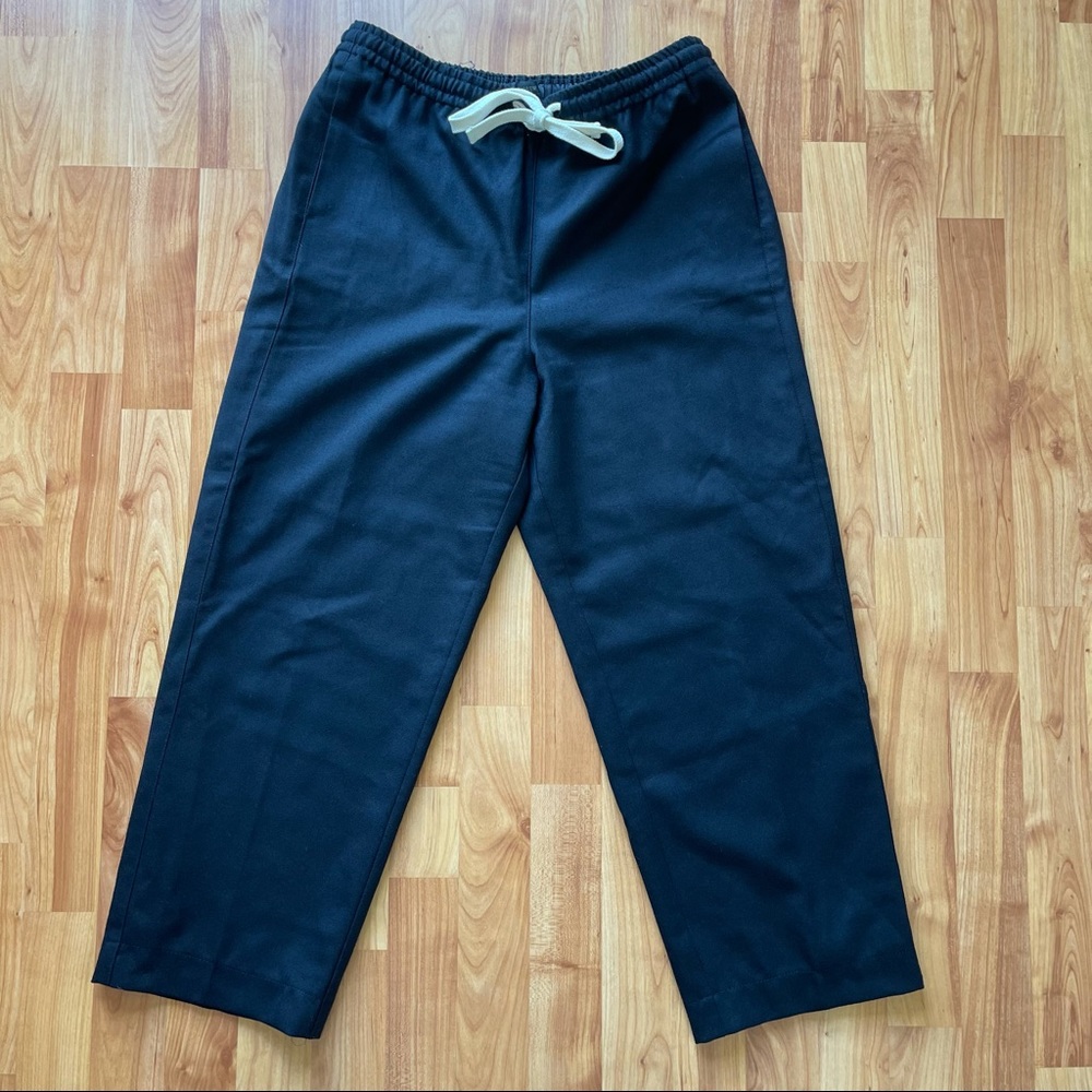 J.Crew Wool Elastic Band Crop Pants Size 6T